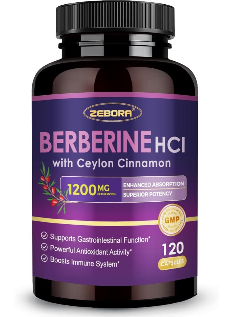 ZEBORA Premium Berberine HCL Supplement 1200 mg, Berberine GLP-1 Support with Ceylon Cinnamon, ALA & Capric Acid, Supports Immune & Antioxidant, Non-GMO, 120 Capsules